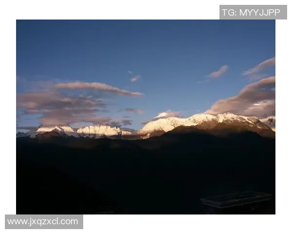 上海乒乓球队逆袭之旅揭秘世界杯预选赛背后的奋斗与荣耀