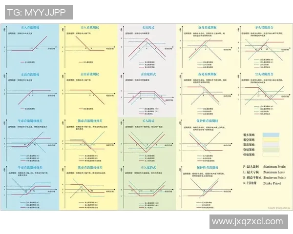 探索钱期权足球的投资策略与风险管理新视角